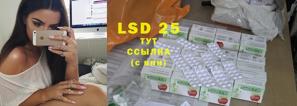 индика Алзамай