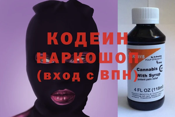 индика Алзамай
