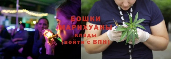 сатива Лабытнанги