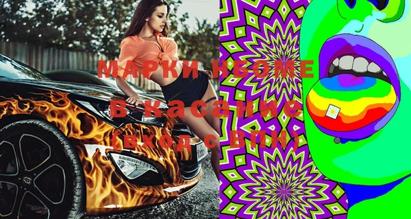 индика Алзамай