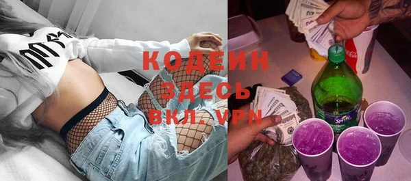 индика Алзамай
