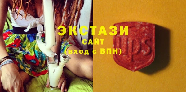 сатива Лабытнанги