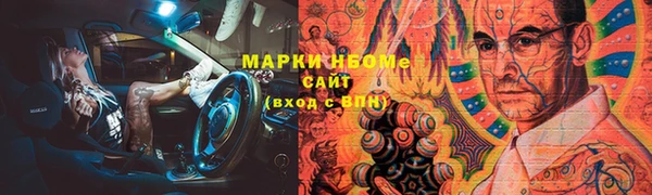 индика Алзамай