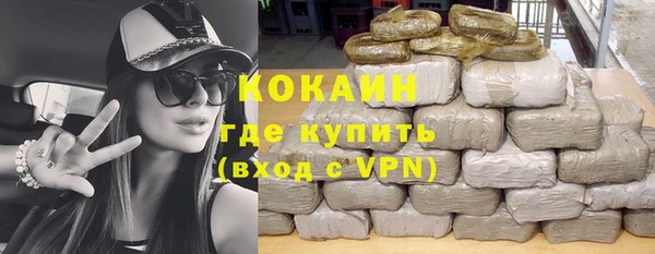 индика Алзамай