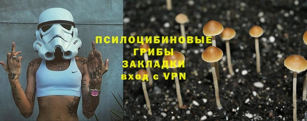 стаф Алексеевка