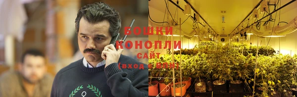 каннабис Алексин