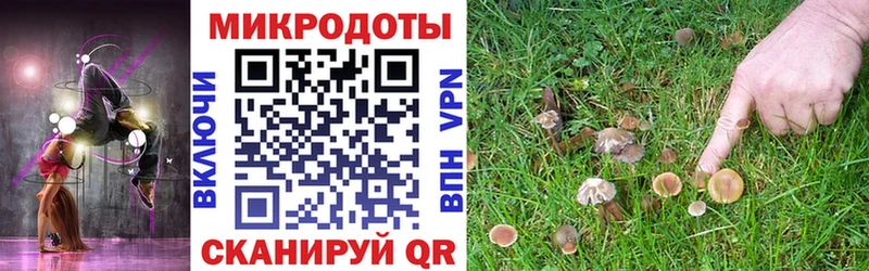 где можно купить   Арзамас  blacksprut рабочий сайт  Галлюциногенные грибы Psilocybe 